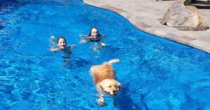 Back to School and Your Pool
