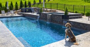 Energize Your Backyard