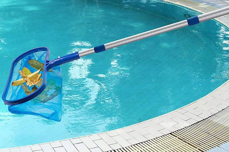 Pool Skimmers and Brushes
